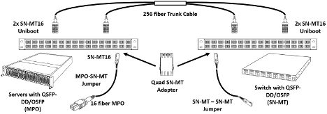 SN-MT blog image 6