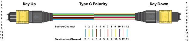 Type C Polarity